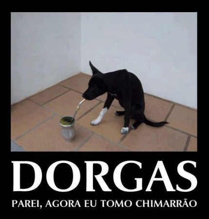 Dorgas parei